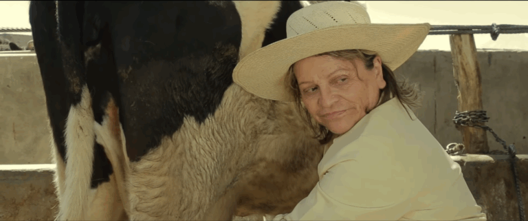 captura de pantalla 2025 10 26 122733