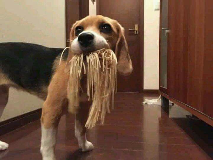 bfc90f84 bd4d 42e5 8ac8 f68b2a6b2cd0