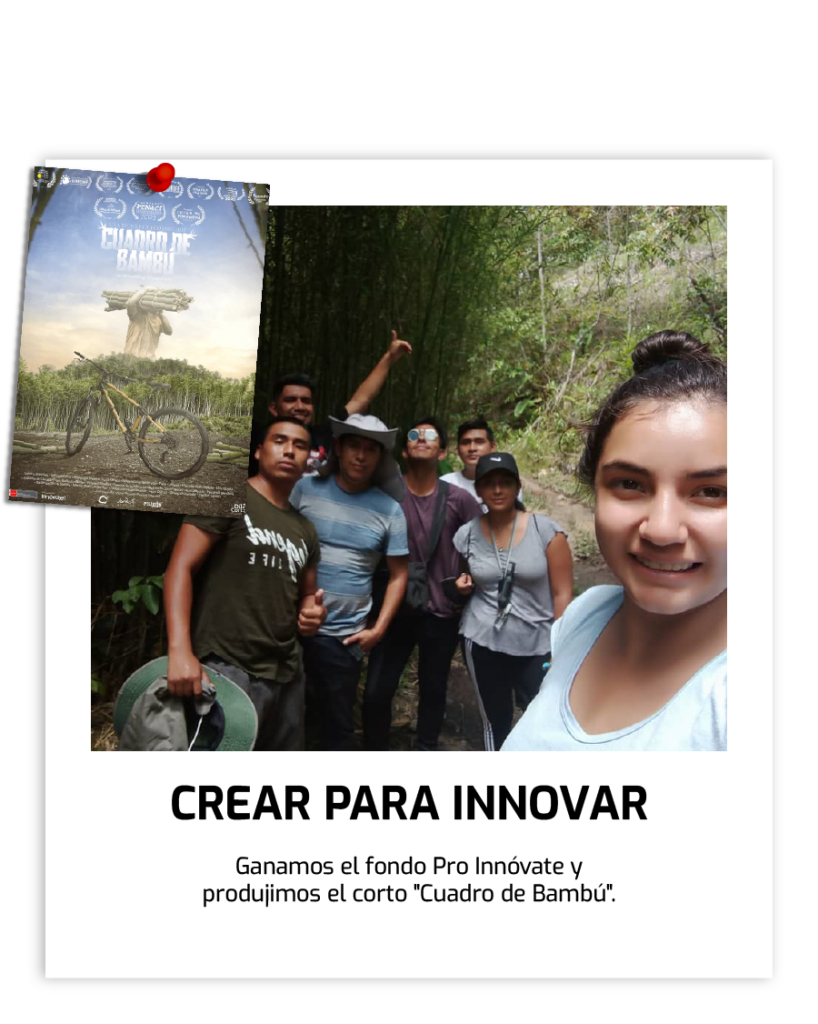 NOSOTROS mesa de trabajo 1 copia 5
